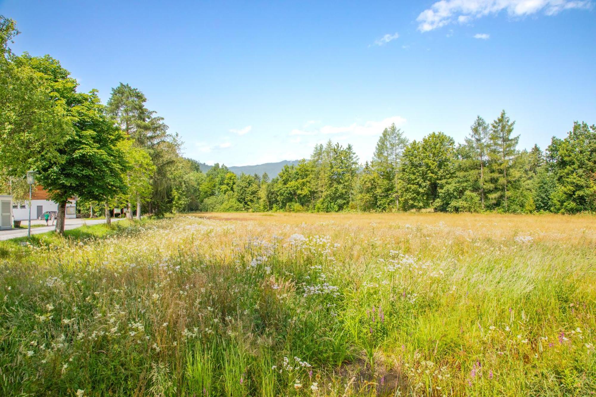 Moosaik Appartements Strobl Dış mekan fotoğraf